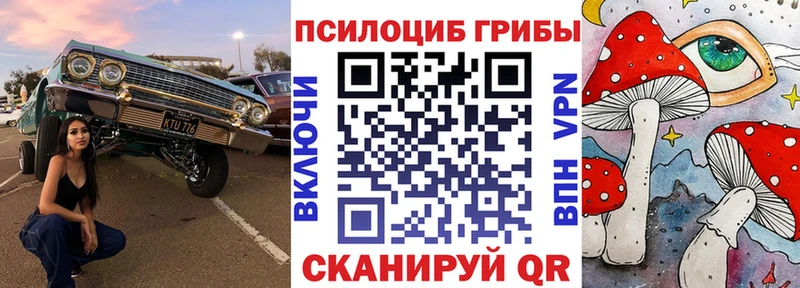 Купить  Железногорск-Илимский  Галлюциногенные грибы мухоморы 